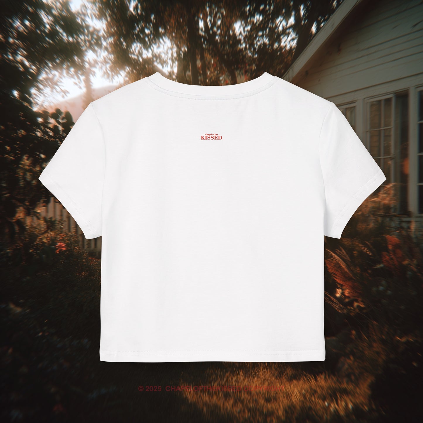 Brain,boobs,and boundaries, Women's Baby Tee